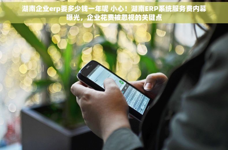 湖南企业erp要多少钱一年呢 小心！湖南ERP系统服务费内幕曝光，企业花费被忽视的关键点