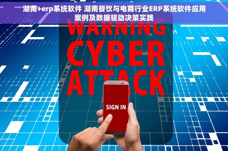 湖南+erp系统软件 湖南餐饮与电商行业ERP系统软件应用案例及数据驱动决策实践