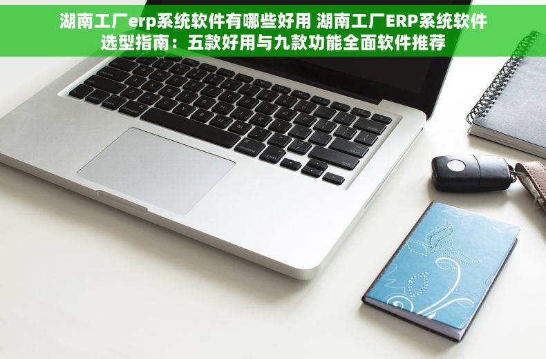 湖南工厂erp系统软件有哪些好用 湖南工厂ERP系统软件选型指南：五款好用与九款功能全面软件推荐