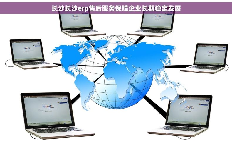 长沙长沙erp售后服务保障企业长期稳定发展