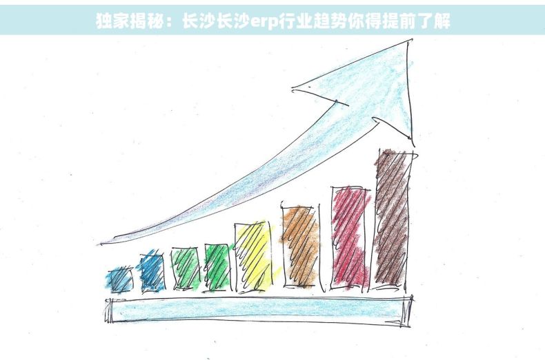 独家揭秘：长沙长沙erp行业趋势你得提前了解