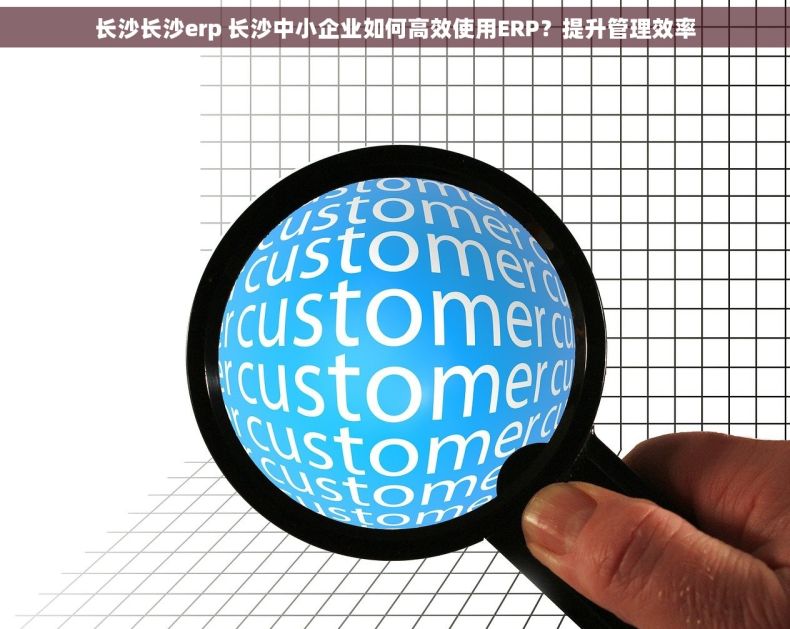 长沙长沙erp 长沙中小企业如何高效使用ERP？提升管理效率