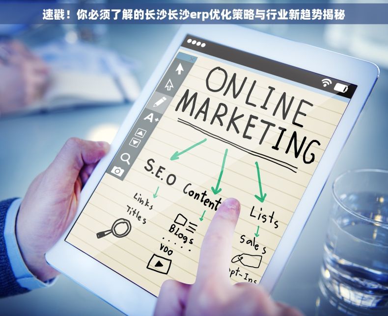 速戳！你必须了解的长沙长沙erp优化策略与行业新趋势揭秘