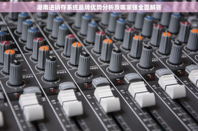 湖南进销存系统品牌优势分析及哪家强全面解答