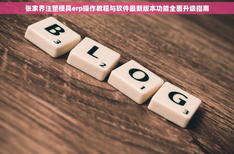 张家界注塑模具erp操作教程与软件最新版本功能全面升级指南