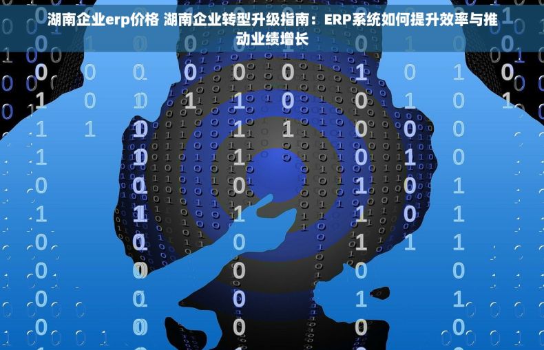 湖南企业erp价格 湖南企业转型升级指南：ERP系统如何提升效率与推动业绩增长