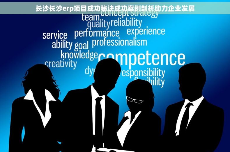 长沙长沙erp项目成功秘诀成功案例剖析助力企业发展
