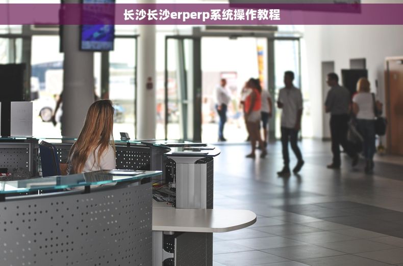 长沙长沙erperp系统操作教程