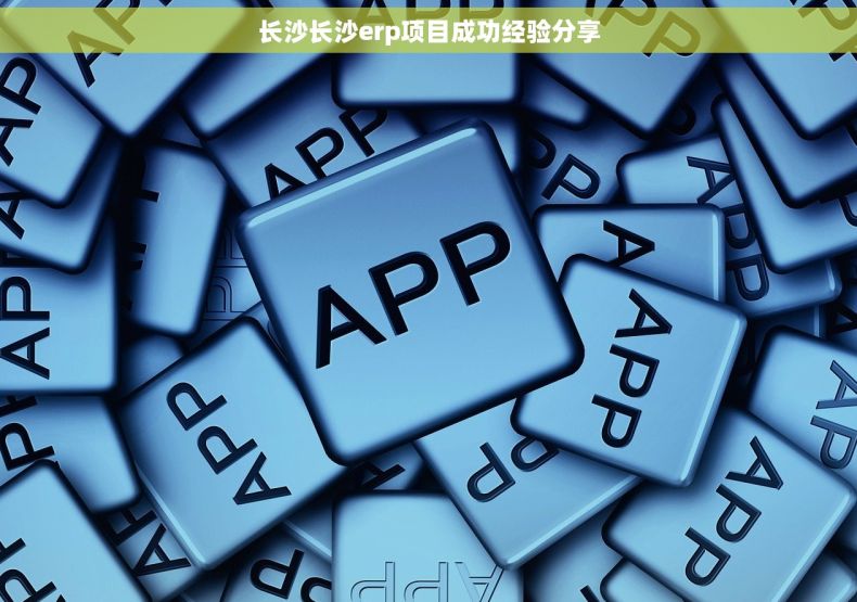 长沙长沙erp项目成功经验分享