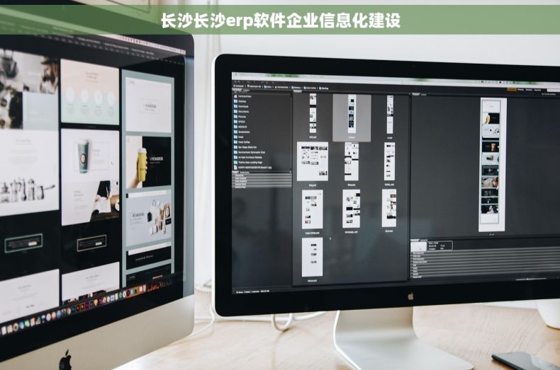 长沙长沙erp软件企业信息化建设
