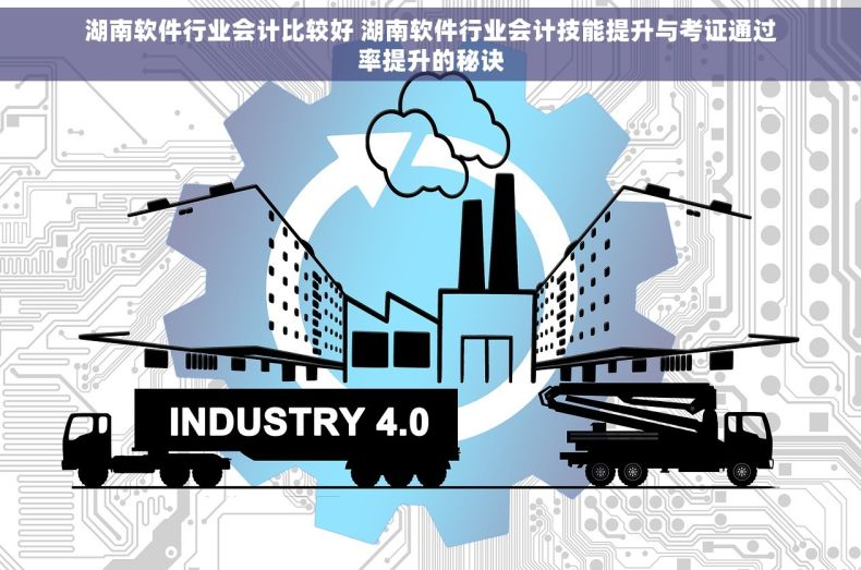 湖南软件行业会计比较好 湖南软件行业会计技能提升与考证通过率提升的秘诀