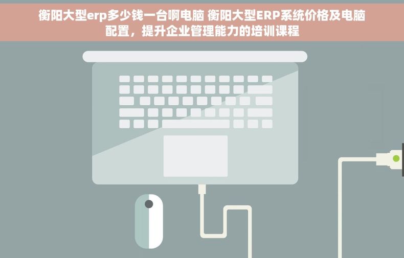 衡阳大型erp多少钱一台啊电脑 衡阳大型ERP系统价格及电脑配置，提升企业管理能力的培训课程