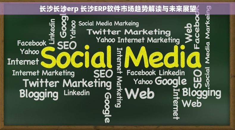 长沙长沙erp 长沙ERP软件市场趋势解读与未来展望