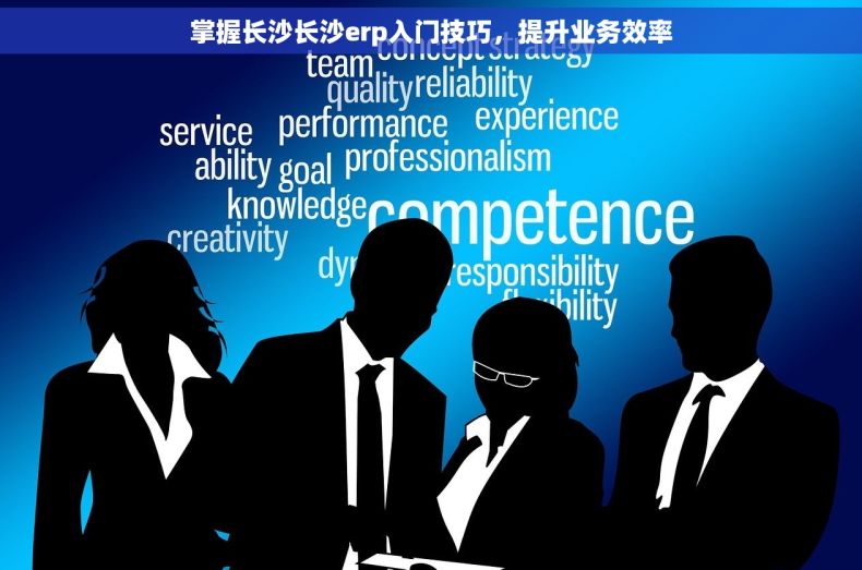 掌握长沙长沙erp入门技巧，提升业务效率