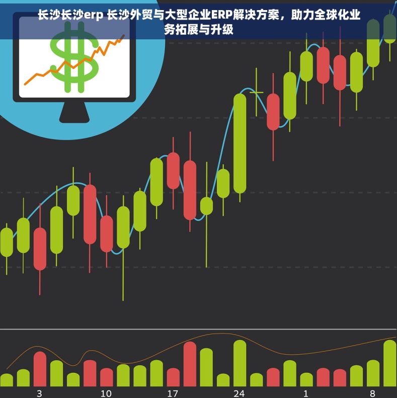 长沙长沙erp 长沙外贸与大型企业ERP解决方案，助力全球化业务拓展与升级