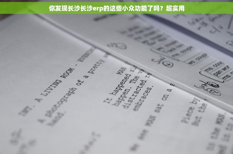 你发现长沙长沙erp的这些小众功能了吗？超实用