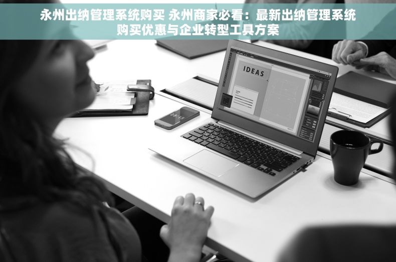 永州出纳管理系统购买 永州商家必看：最新出纳管理系统购买优惠与企业转型工具方案