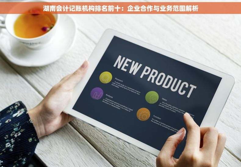 湖南会计记账机构排名前十：企业合作与业务范围解析