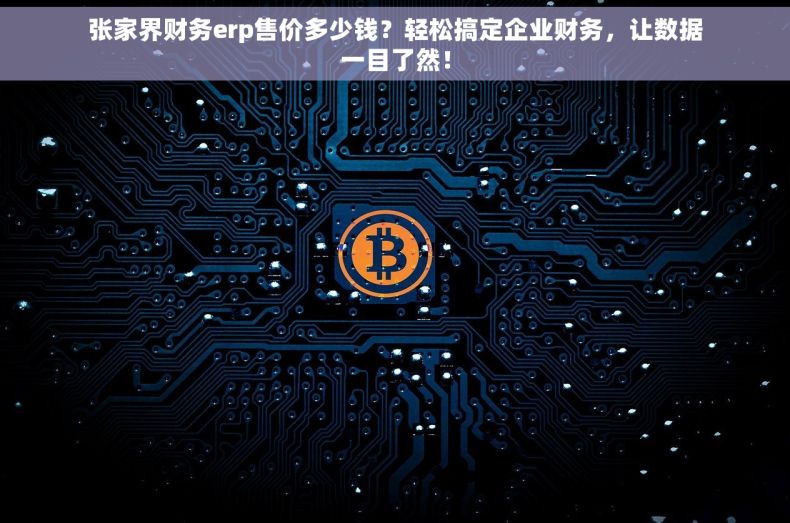 张家界财务erp售价多少钱？轻松搞定企业财务，让数据一目了然！