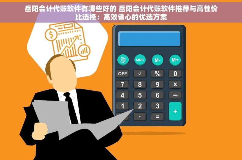 岳阳会计代账软件有哪些好的 岳阳会计代账软件推荐与高性价比选择：高效省心的优选方案
