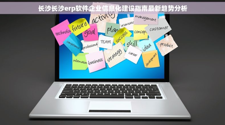 长沙长沙erp软件企业信息化建设指南最新趋势分析
