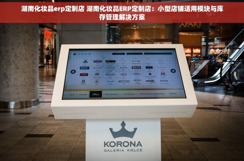 湖南化妆品erp定制店 湖南化妆品ERP定制店：小型店铺适用模块与库存管理解决方案