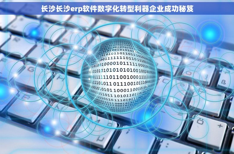 长沙长沙erp软件数字化转型利器企业成功秘笈