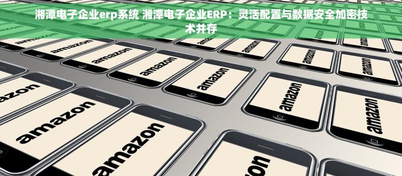 湘潭电子企业erp系统 湘潭电子企业ERP：灵活配置与数据安全加密技术并存