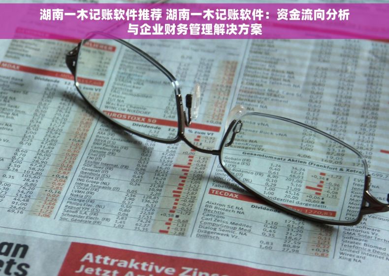 湖南一木记账软件推荐 湖南一木记账软件：资金流向分析与企业财务管理解决方案