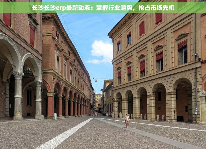长沙长沙erp最新动态：掌握行业趋势，抢占市场先机