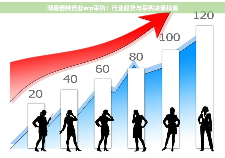 湖南倍特药业erp采购：行业趋势与采购决策指南