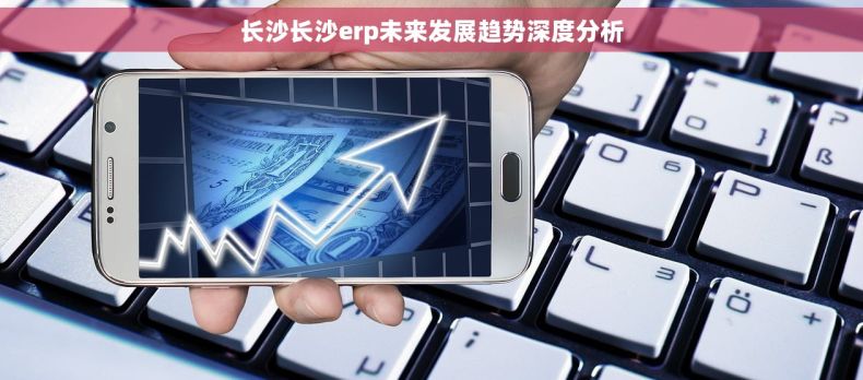 长沙长沙erp未来发展趋势深度分析