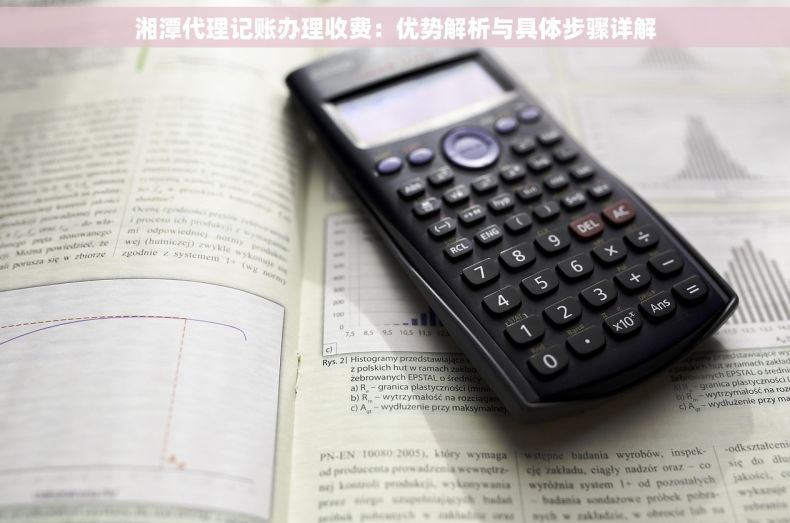 湘潭代理记账办理收费：优势解析与具体步骤详解