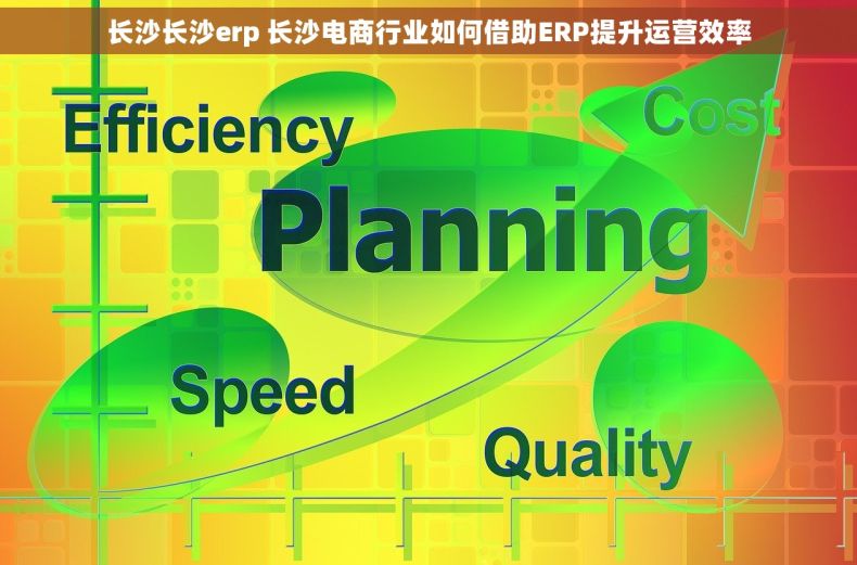 长沙长沙erp 长沙电商行业如何借助ERP提升运营效率