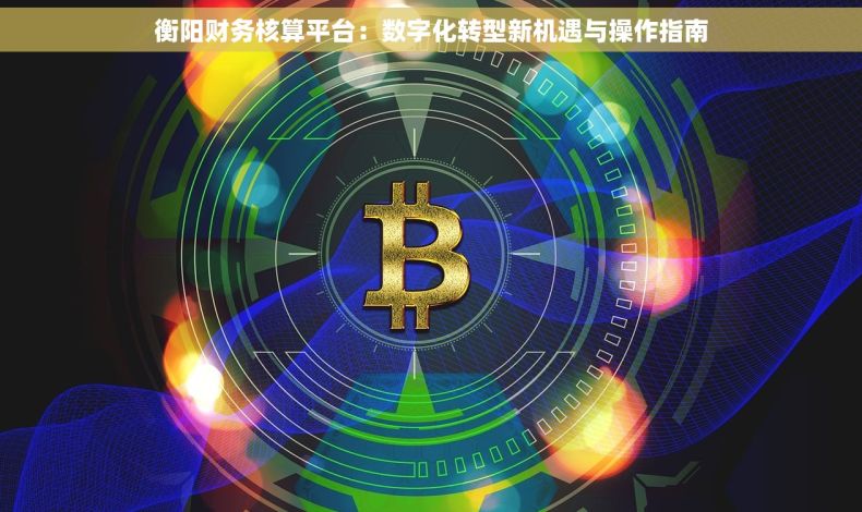 衡阳财务核算平台：数字化转型新机遇与操作指南