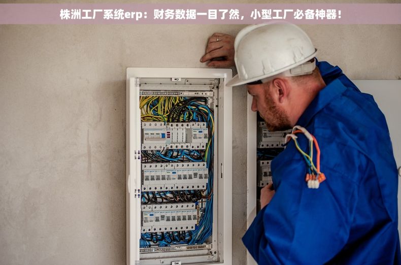 株洲工厂系统erp：财务数据一目了然，小型工厂必备神器！