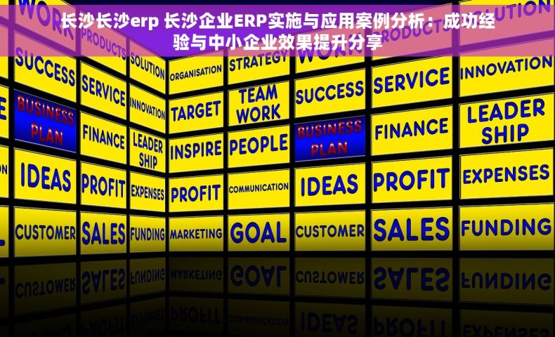 长沙长沙erp 长沙企业ERP实施与应用案例分析：成功经验与中小企业效果提升分享