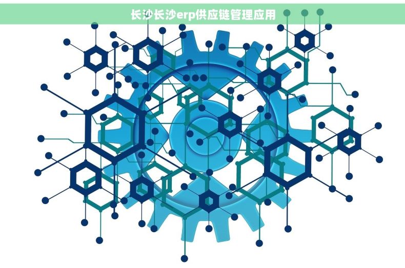 长沙长沙erp供应链管理应用