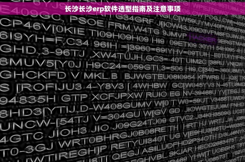 长沙长沙erp软件选型指南及注意事项