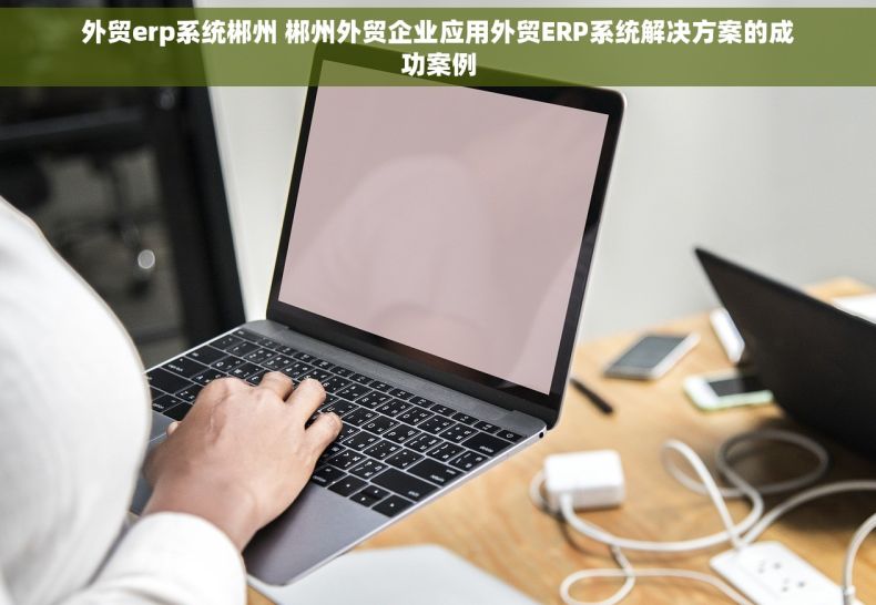 外贸erp系统郴州 郴州外贸企业应用外贸ERP系统解决方案的成功案例