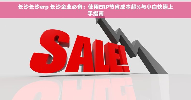 长沙长沙erp 长沙企业必备：使用ERP节省成本超%与小白快速上手指南