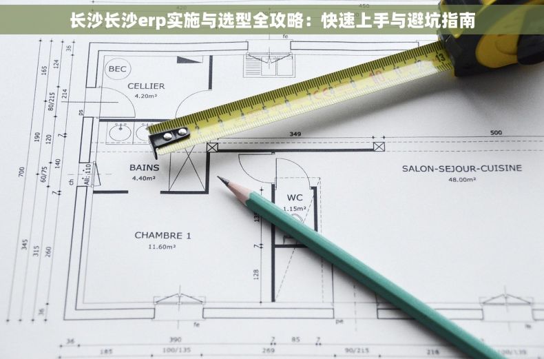 长沙长沙erp实施与选型全攻略：快速上手与避坑指南