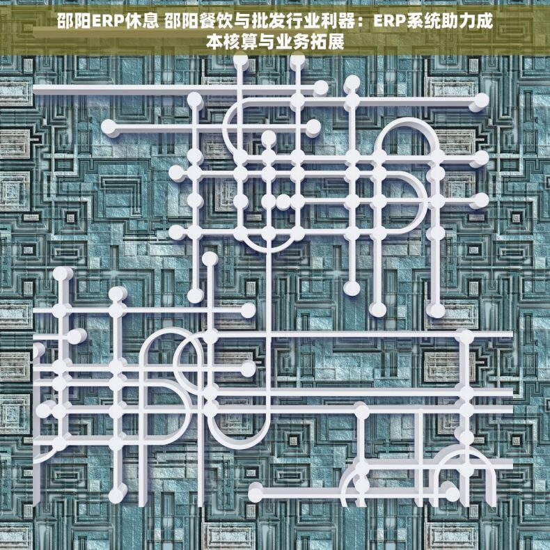 邵阳ERP休息 邵阳餐饮与批发行业利器：ERP系统助力成本核算与业务拓展