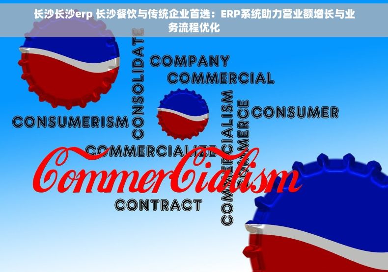 长沙长沙erp 长沙餐饮与传统企业首选：ERP系统助力营业额增长与业务流程优化