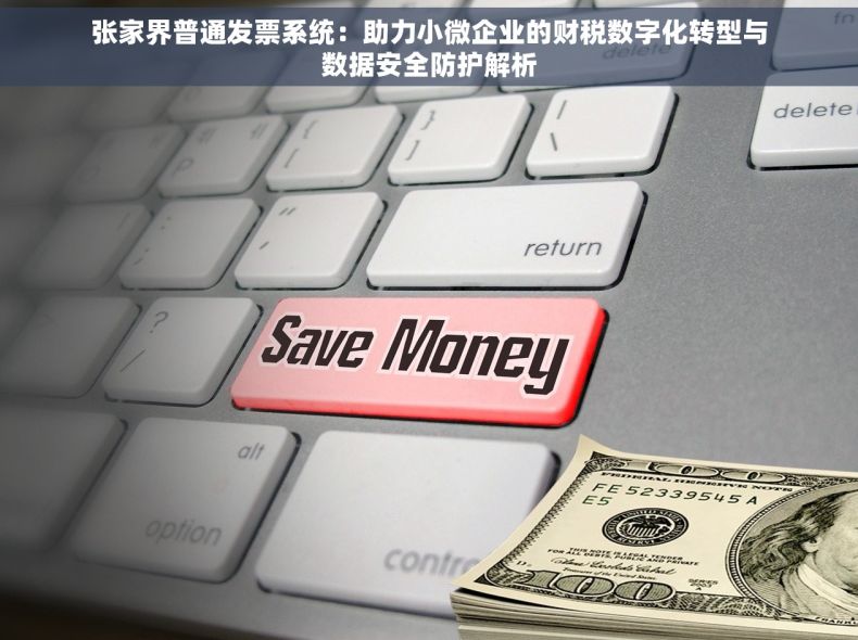 张家界普通发票系统：助力小微企业的财税数字化转型与数据安全防护解析