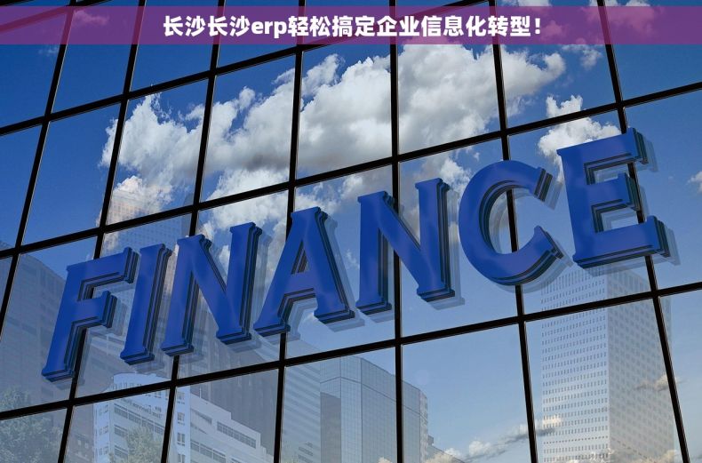 长沙长沙erp轻松搞定企业信息化转型！