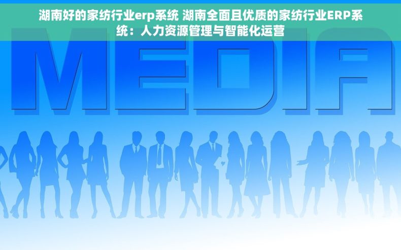 湖南好的家纺行业erp系统 湖南全面且优质的家纺行业ERP系统：人力资源管理与智能化运营