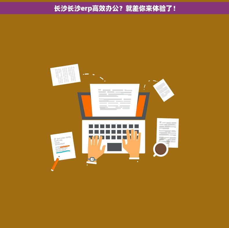 长沙长沙erp高效办公？就差你来体验了！