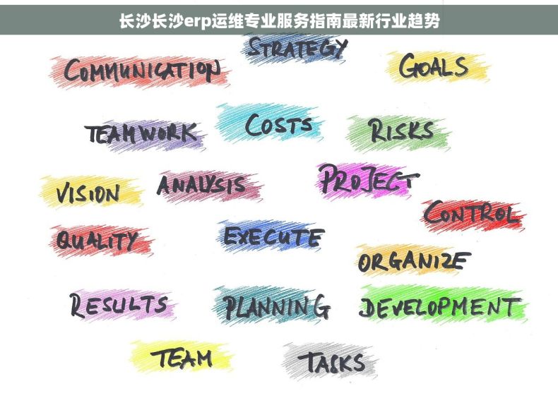 长沙长沙erp运维专业服务指南最新行业趋势