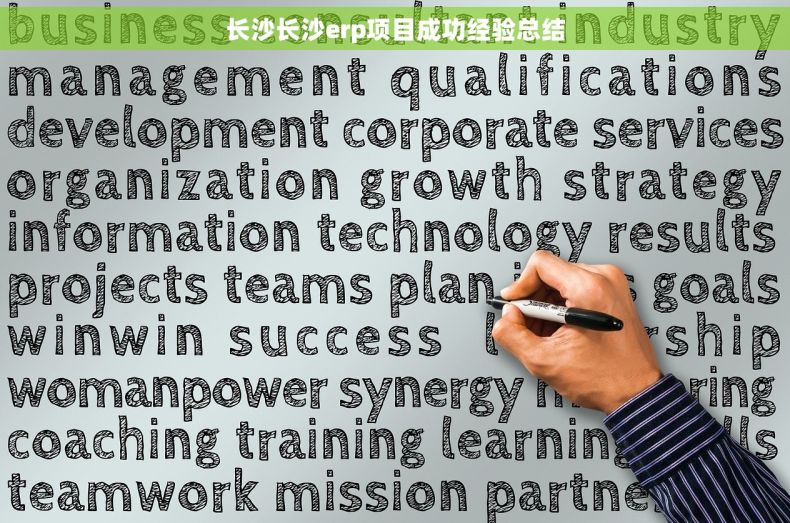长沙长沙erp项目成功经验总结